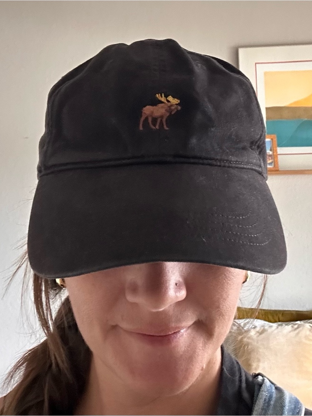 Abercrombie & Fitch Black Baseball Hat with Brown & Gold Moose Embroidery
